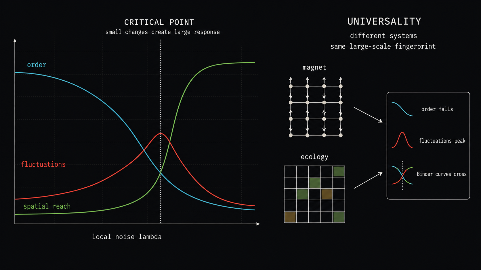 Critical behavior and universality in one picture. A magnet and an ecological lattice can have different microscopic rules but still share the same large-scale fingerprint near a transition: order falls, fluctuations peak, and Binder curves cross.