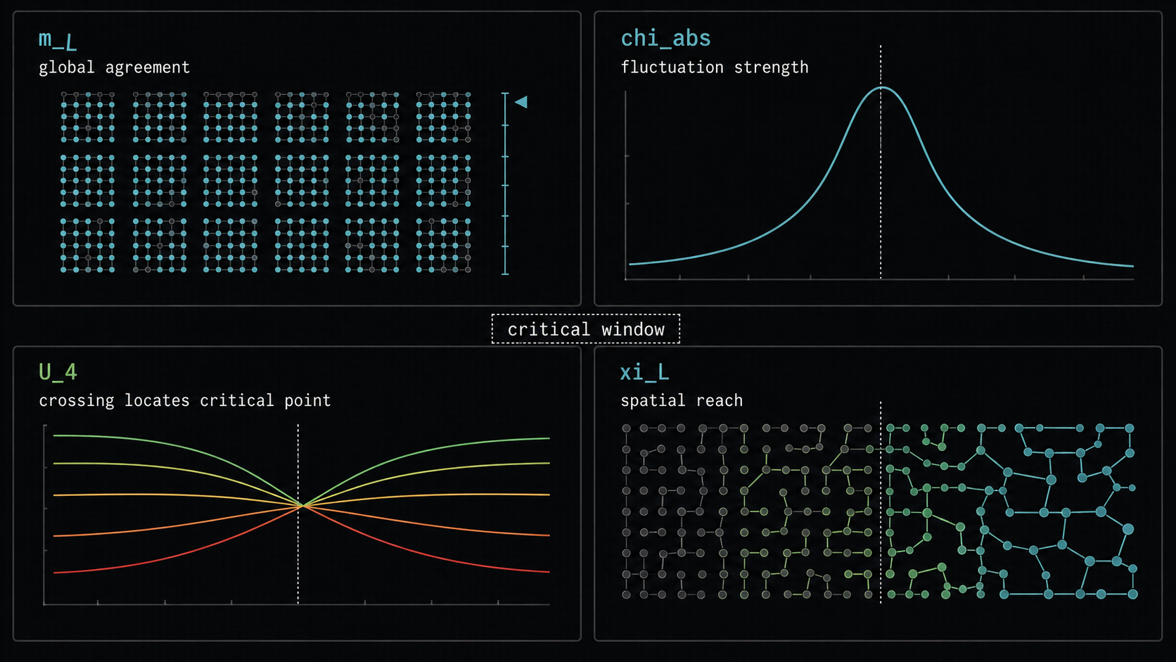The four main diagnostics used throughout the page. The exact formulas belong in the paper, but the intuition is direct: agreement, fluctuation strength, Binder crossing, and spatial reach.